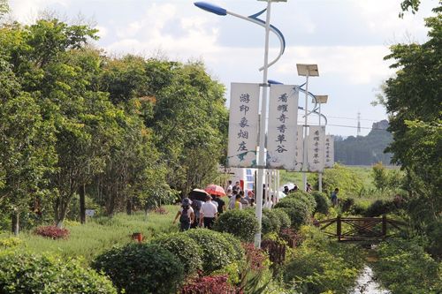 由石林耀奇農產品開發承建并運營