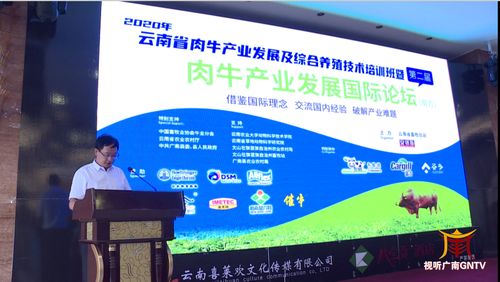 第二屆南方肉牛產(chǎn)業(yè)發(fā)展國際論壇在廣南舉行 要聞 文山頻道 云南網(wǎng)