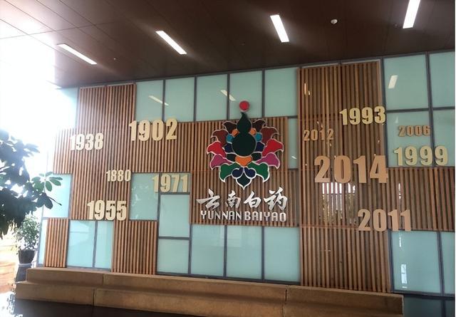 云南白藥具有多元產品系列,對
