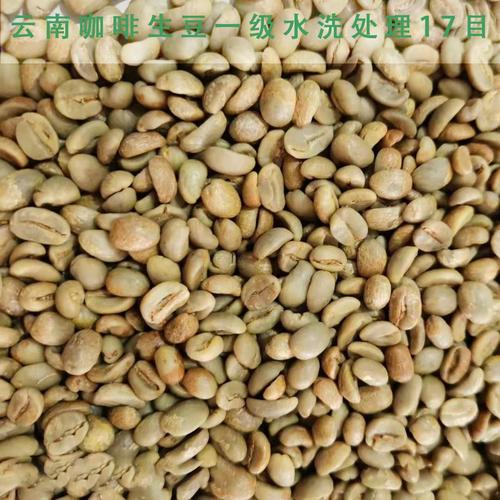新產季云南咖啡生豆 一級水洗處理 普洱原產區咖啡豆商用拼配推薦