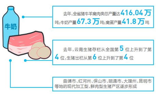 產出高效產品安全資源節約環境友好 云南省畜牧業快速發展