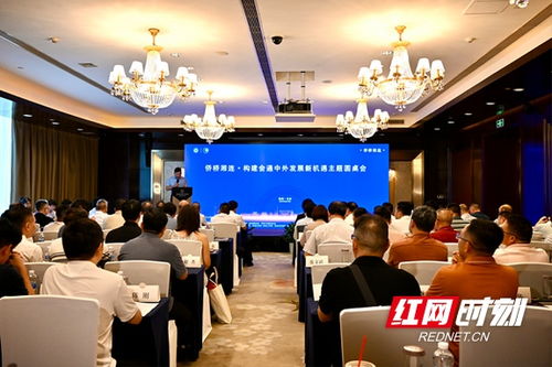 雙語丨海內外僑界代表齊聚長沙 共話中外發展新機遇