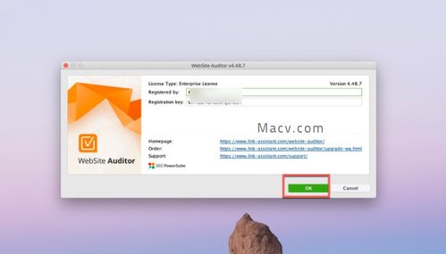 link assistant website auditor enterprise for mac 網(wǎng)站優(yōu)化分析軟件 v4.5