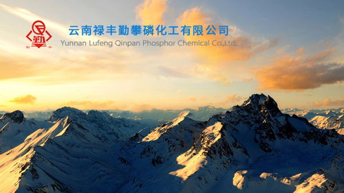 昆明網(wǎng)絡(luò)公司 云南網(wǎng)絡(luò)公司 網(wǎng)頁設(shè)計 網(wǎng)站建設(shè) 網(wǎng)站制作公司 新媒體運營公司 app開發(fā) 小程序研發(fā) 盡在昆明奧遠(yuǎn)科技