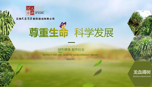 昆明網站建設 云南網絡公司 新媒體運營服務商 app開發價格 專業小程序研發 昆明奧遠科技