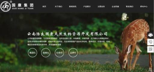企業網站品牌的內涵