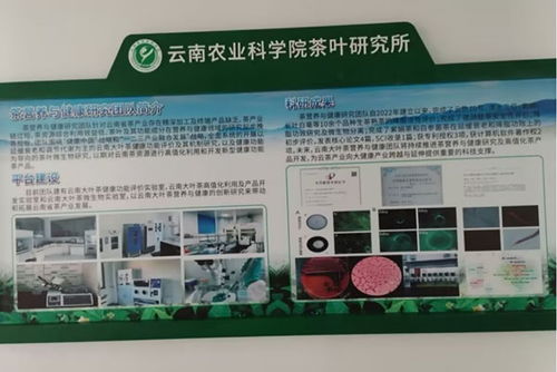 云南省農業科學院官方網站 云南省農科院