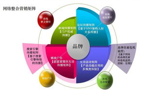 網絡營銷方案的執行