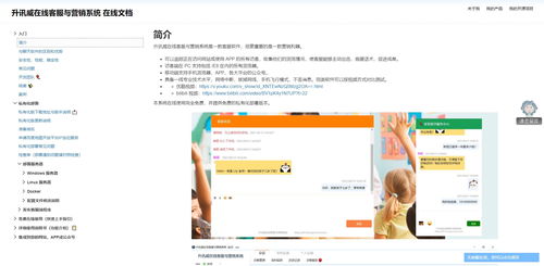 程序員開發了自己的產品怎樣推廣 說一說我的免費在線客服系統推廣經驗